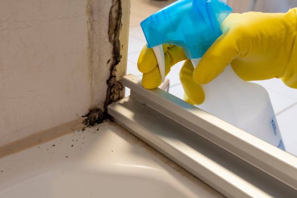 Woodway, WA Mold Remediation Company