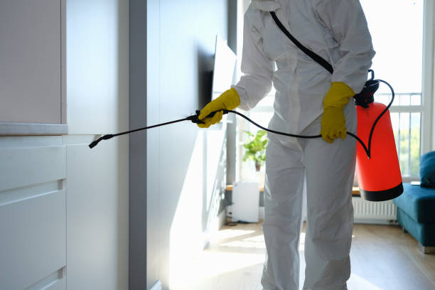 Best DIY Mold Remediation Support Services in Woody, WA