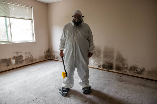 Best Insurance-Related Mold Remediation in Woody, WA